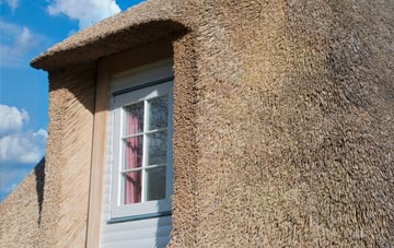 Pill thatch roof disadvantages